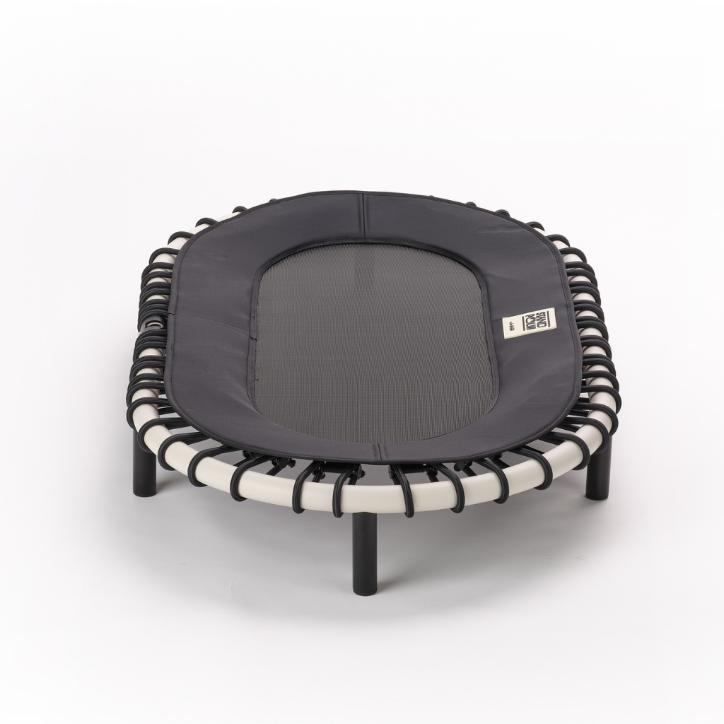 Standpolin – Die gesunde Alternative zum Sitzen