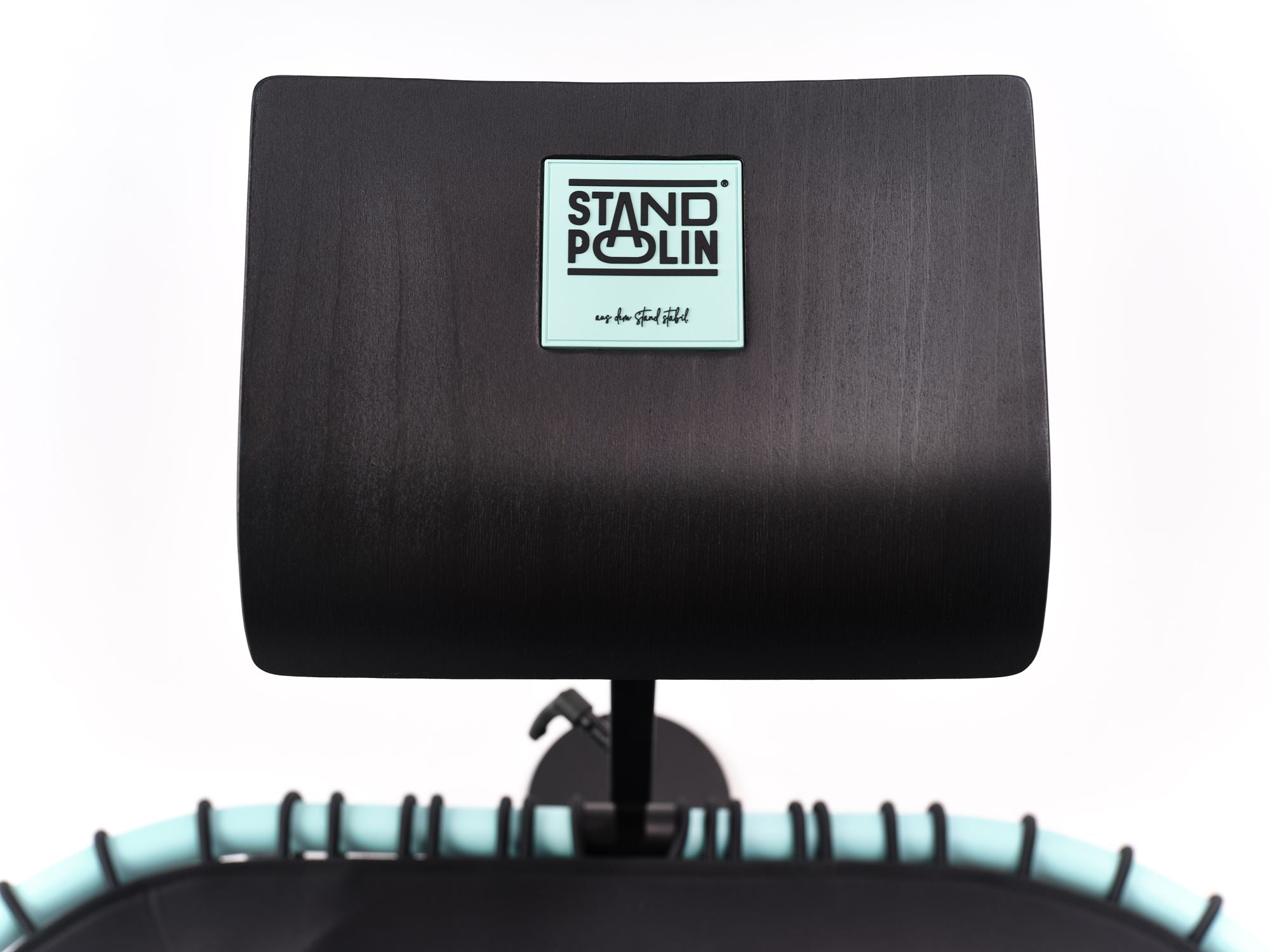 Frontansicht der schwarzen Standpolin Sitzfläche mit Aqua Standpolin Logo, stabilem Standfuß und unscharfem Standpolin mit Aqua Rahmen im Hintergrund.