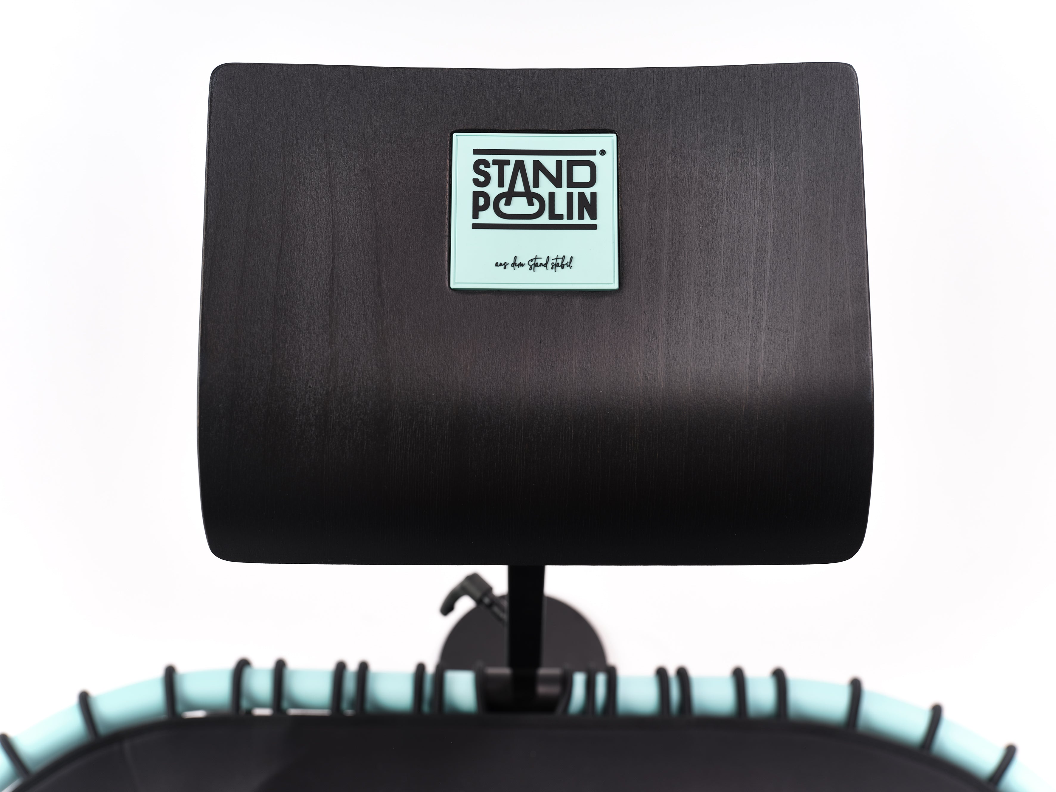 Standpolin Sitzfläche in Schwarz mit Aqua Logo, montiert über dem Standpolin in Aqua für ergonomisches Arbeiten, aktives Stehen und bequemes Abstützen.